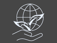 Sustainability and ESG